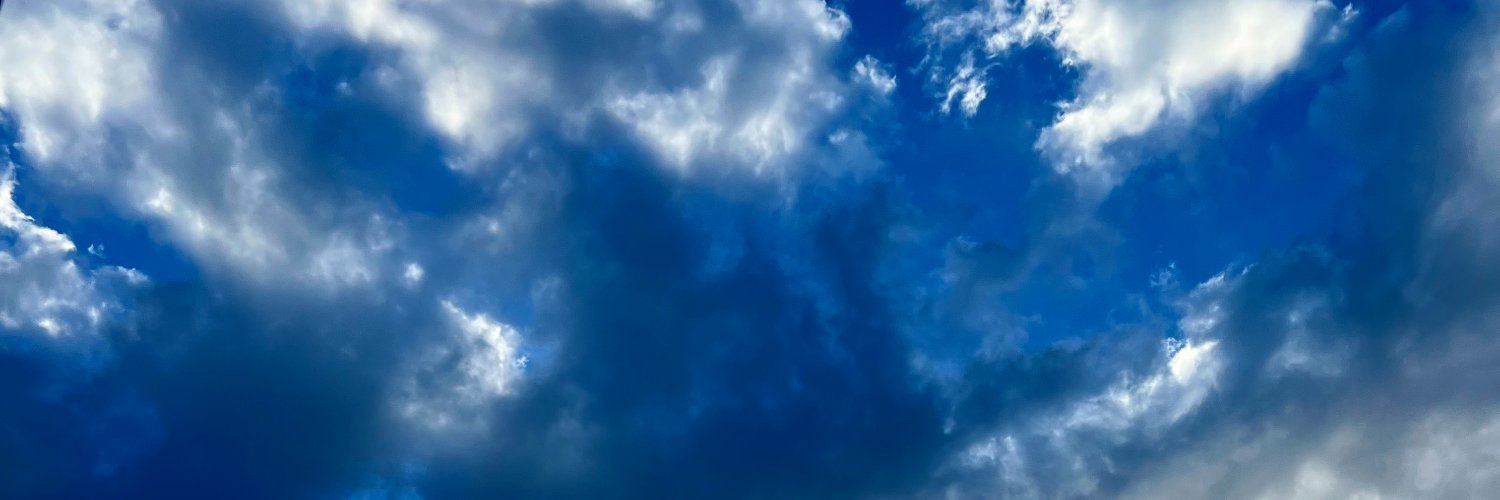 Eleni banner