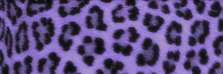 ˚₊‧꒰ა 𝓪𝓷𝓷𝓪 𝓵𝓾𝔁 ໒꒱ ‧₊˚ banner