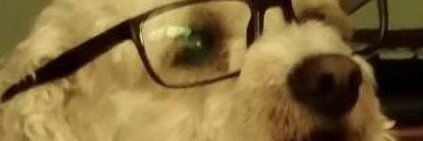 JacTav's profile banner image