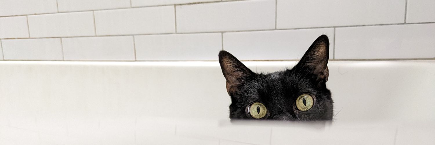 Matthew Chernov banner