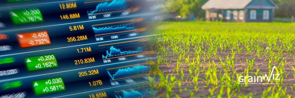 Grainwiz Profile Banner