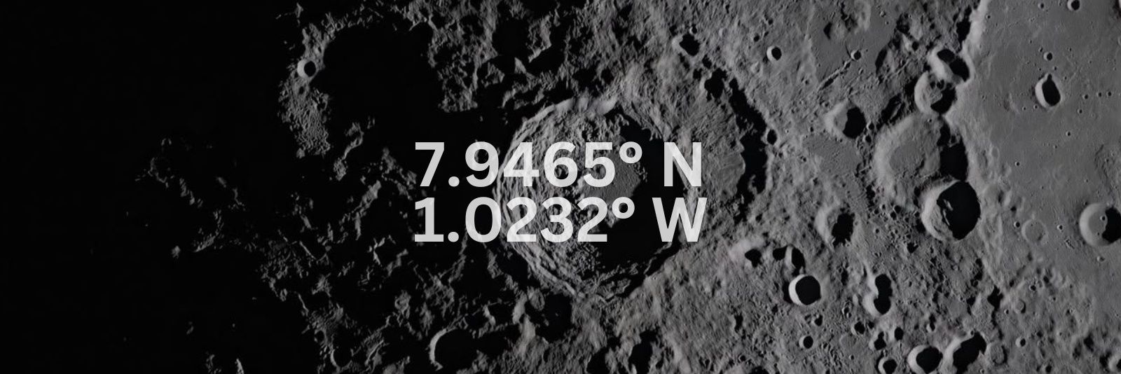 moonsurfers banner