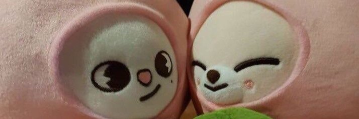 Lili🇦🇷 VOY A VER A SKZ banner