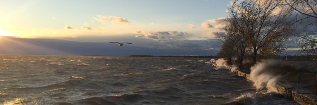 LucThib's profile banner image