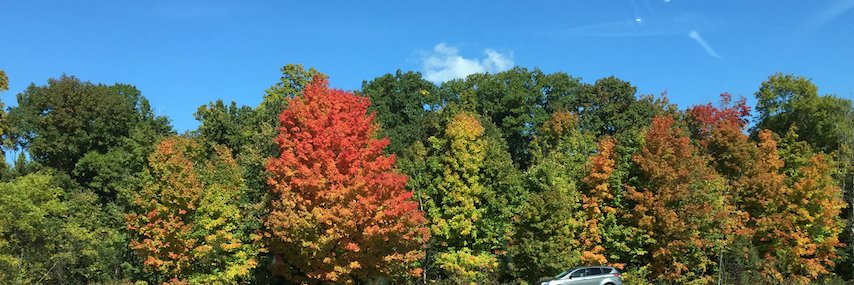 Carrie Hamady EdD MS RD banner