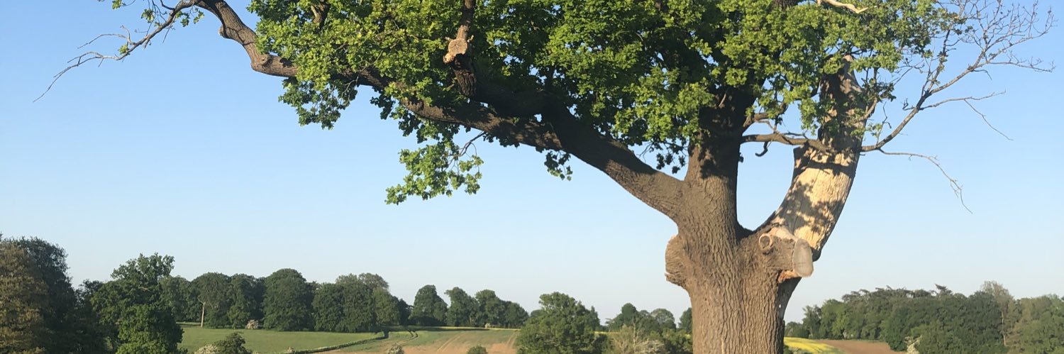 Gary A #FBPE 🇪🇺🇬🇧🔶 banner