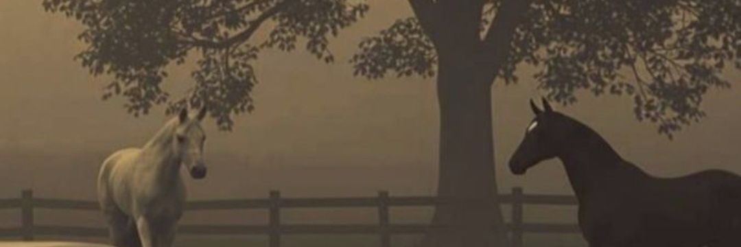 Jude banner