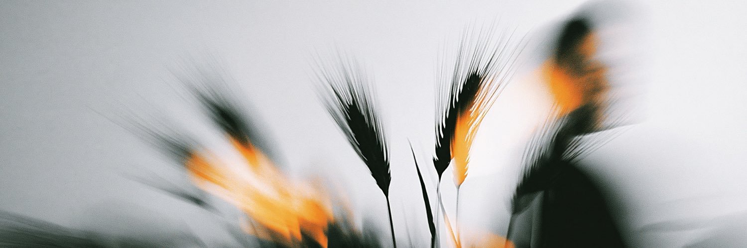 theseedprotocol's profile banner image