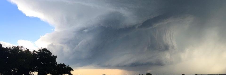 Precour's profile banner image