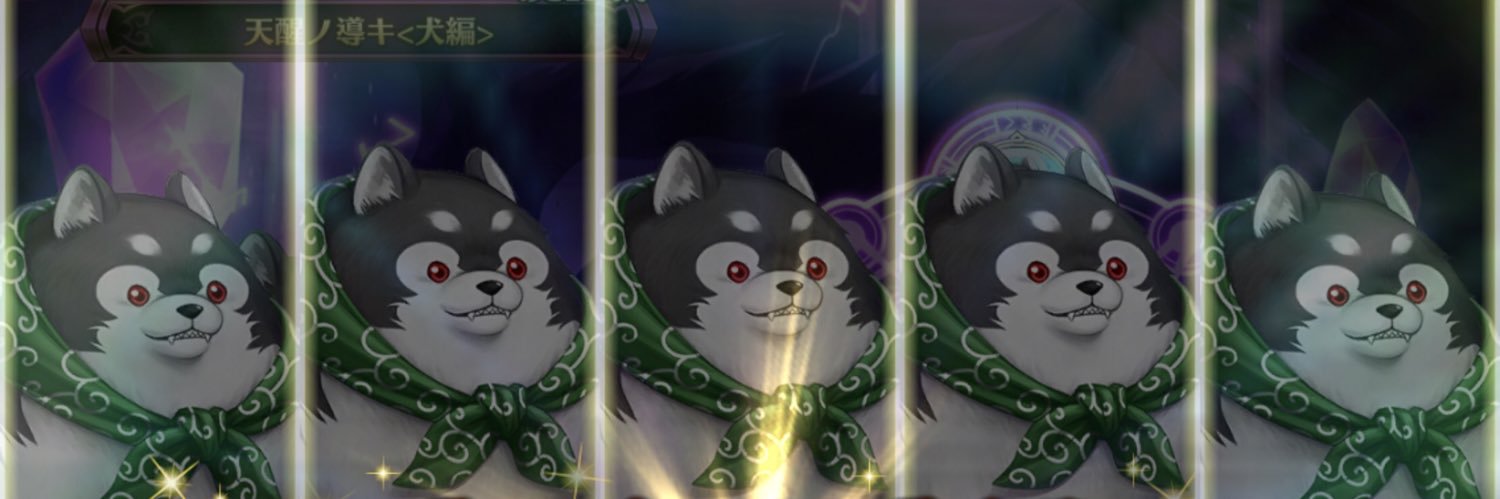 Ris1130m's profile banner image