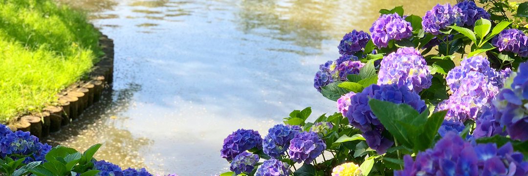 Ppaegopa's profile banner image