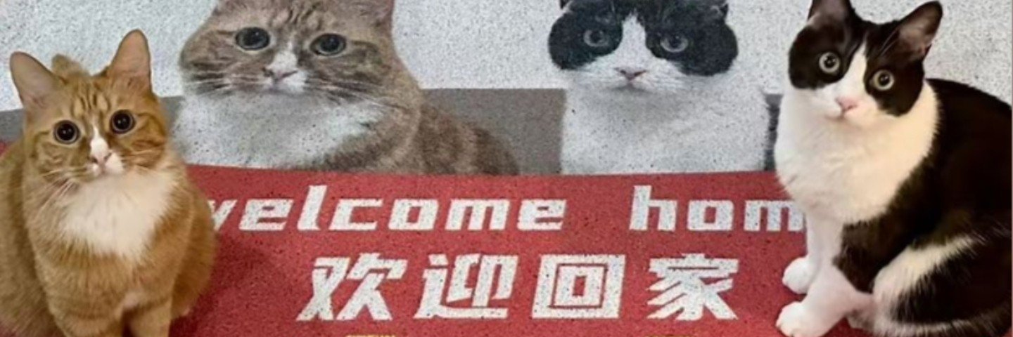 ahnnt610's profile banner image