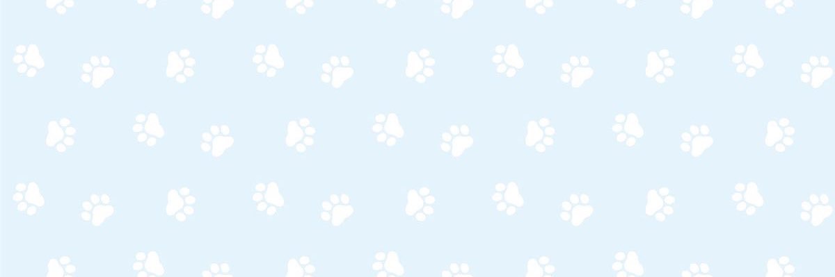 하암미 banner