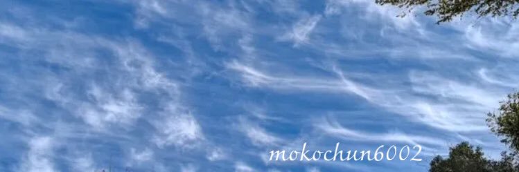 mokochun6002's profile banner image