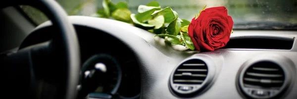 kapkhaiwk's profile banner image