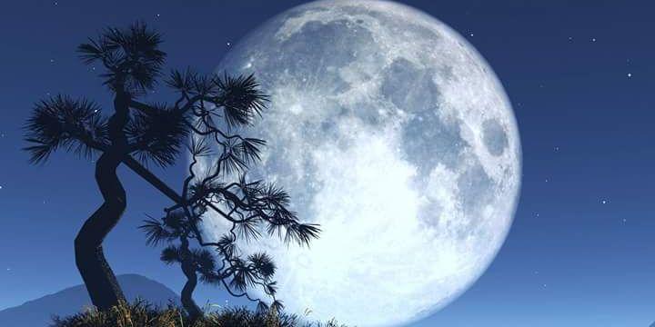 Affet_Yarab's profile banner image