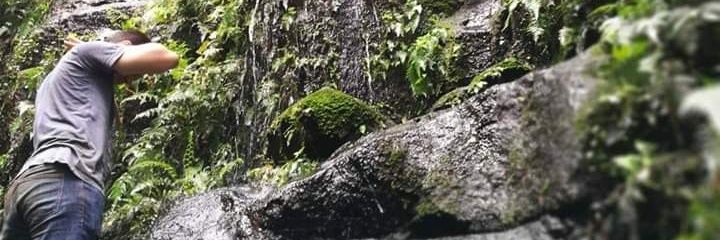 taguiar's profile banner image