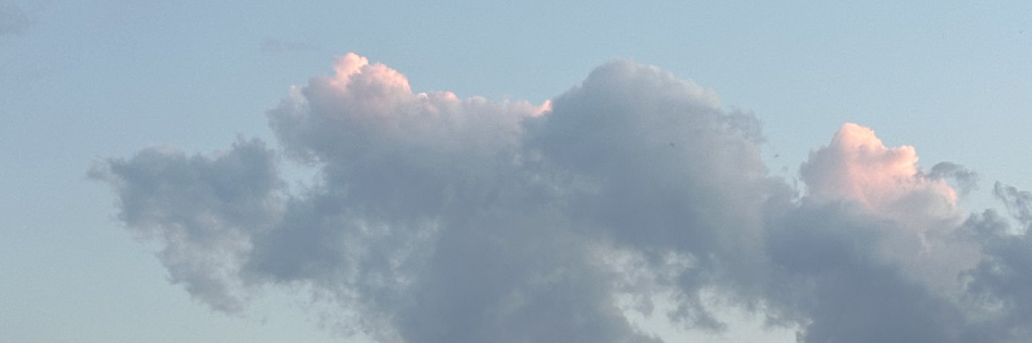 puchuki_'s profile banner image
