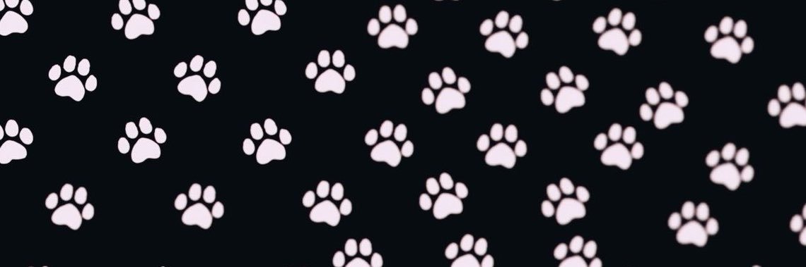 Janwasbanned's profile banner image