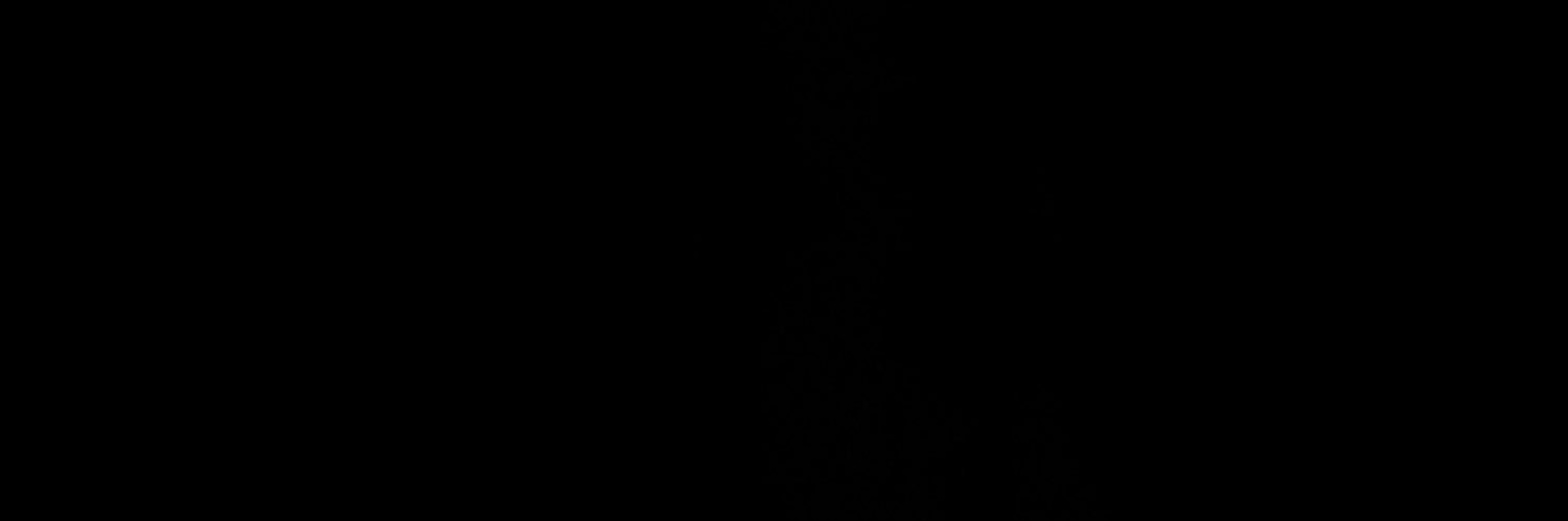 2 banner