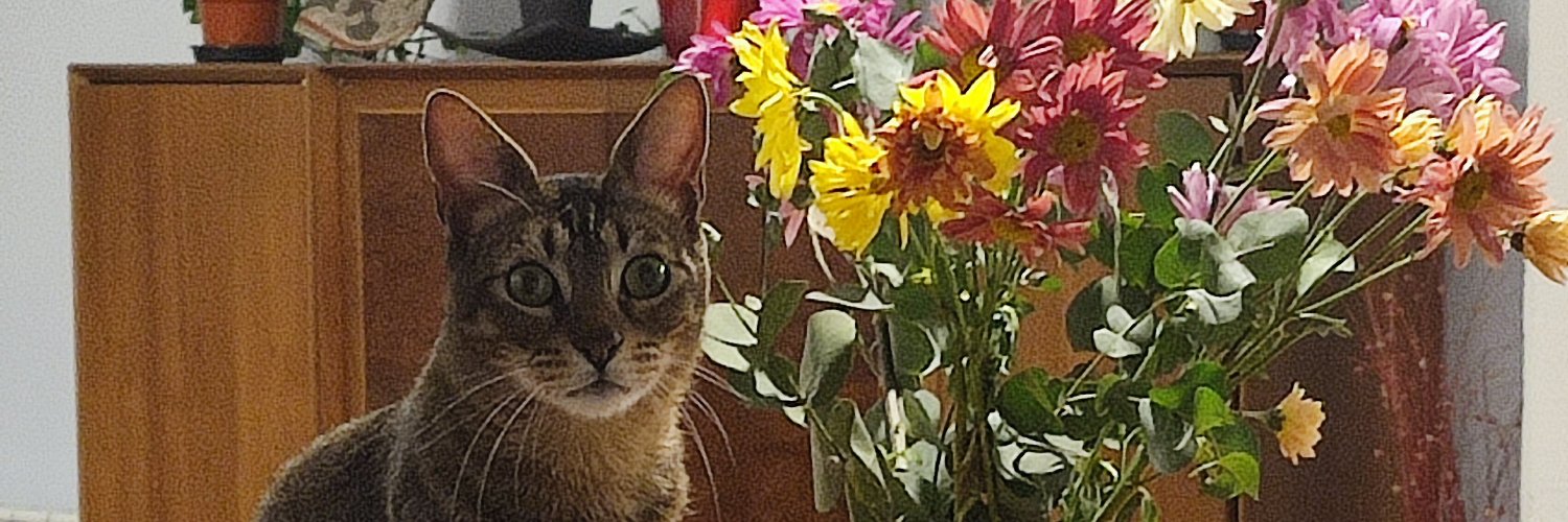 Lucas Santa ⚡ banner