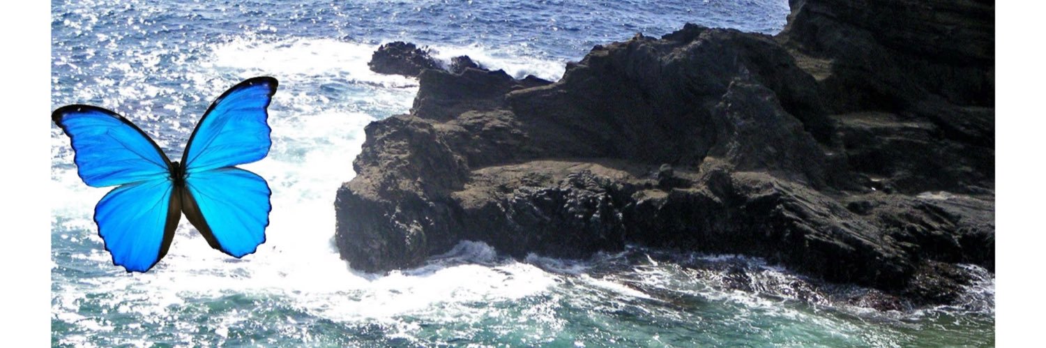 HerbinIslander's profile banner image