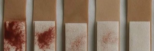 *~Alora of SHEDTWT~* banner