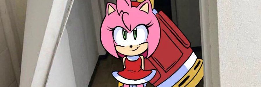 Amy rose banner