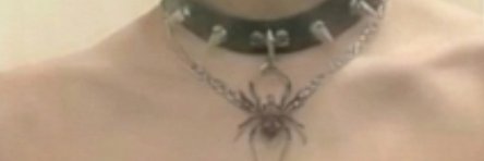 Geminislayer169 banner