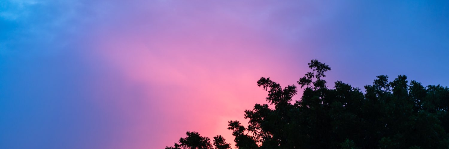 wes_little's profile banner image