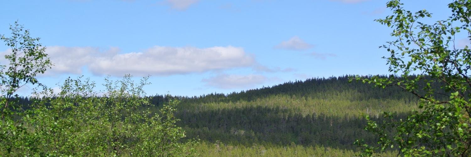 lassesi's profile banner image