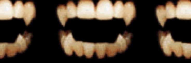 𝓛𝓲𝓵𝓲𝓽𝓱 banner