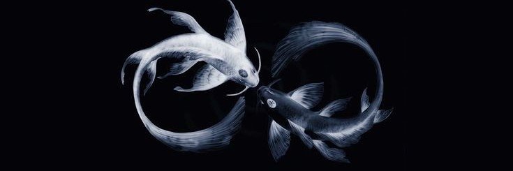 lunariarinne's profile banner image