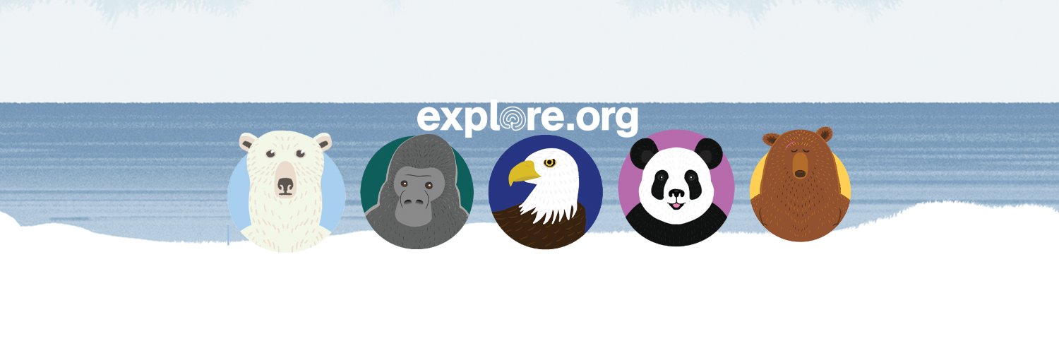 explore.org's banner