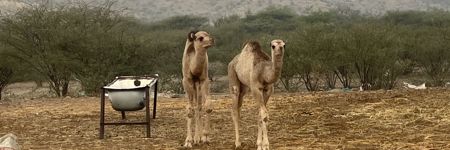 جهار banner