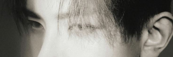 Evannie banner
