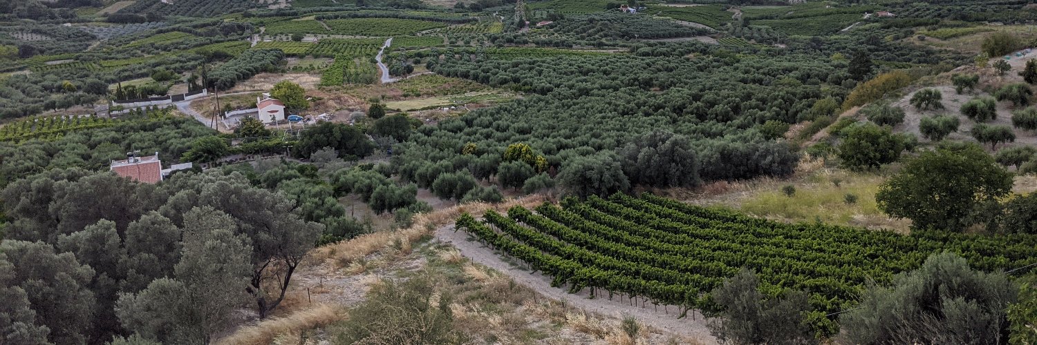 Sarah Fulton Vachon banner