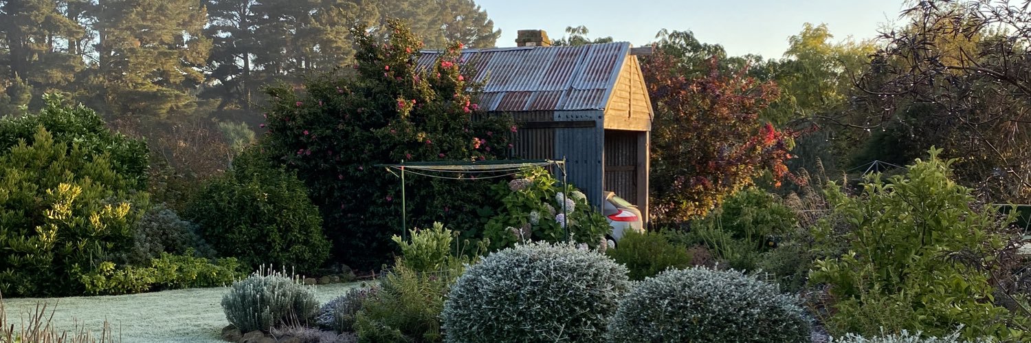 Dr Marina Alexander banner