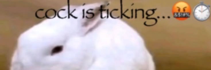 dig_n1ty's profile banner image
