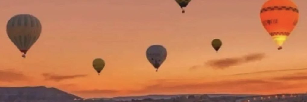 Patch Landers banner