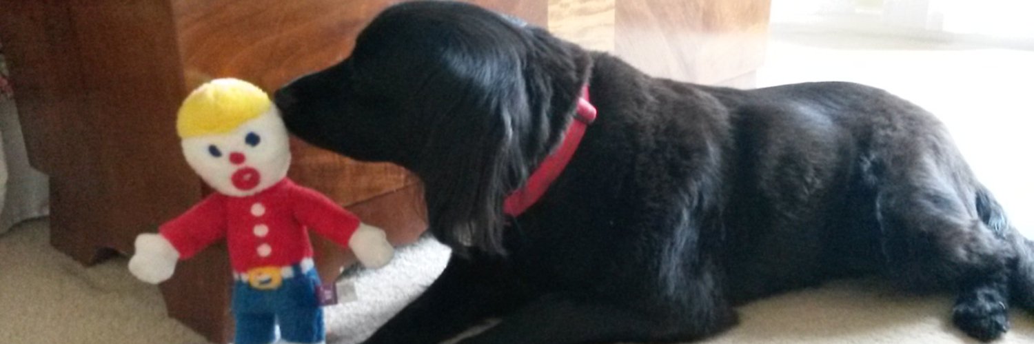 Catherine M. Ketcham banner