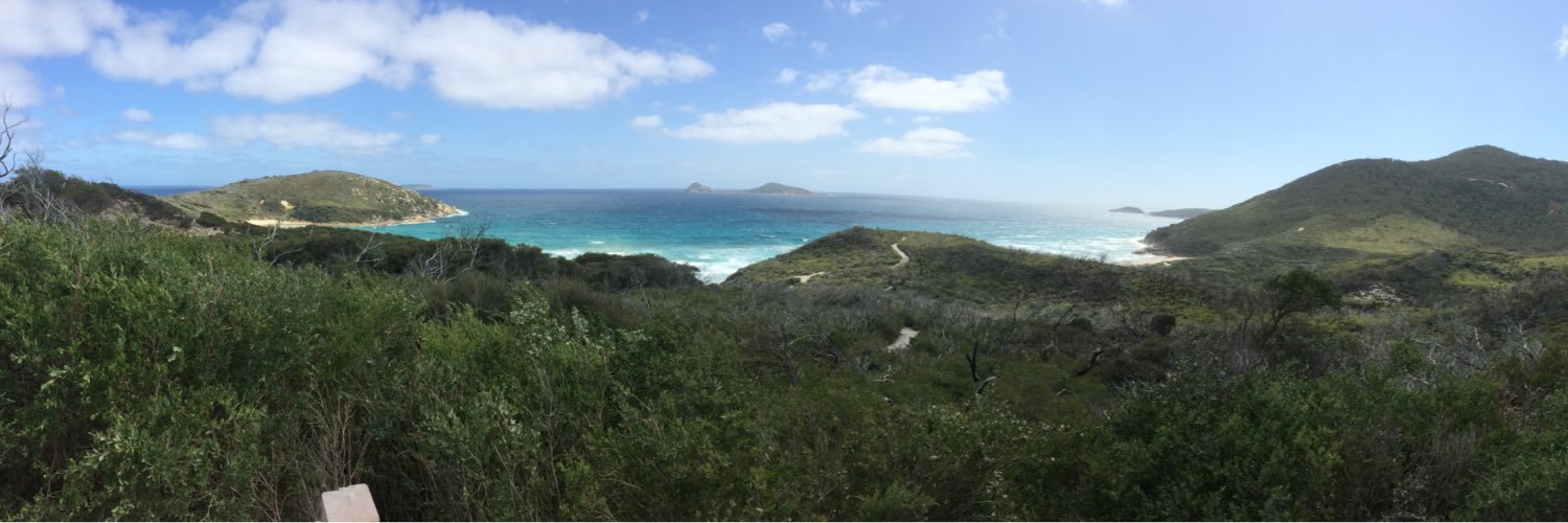 Mark Williams (Welsh/Australian) banner