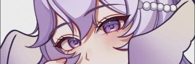 Max VT banner