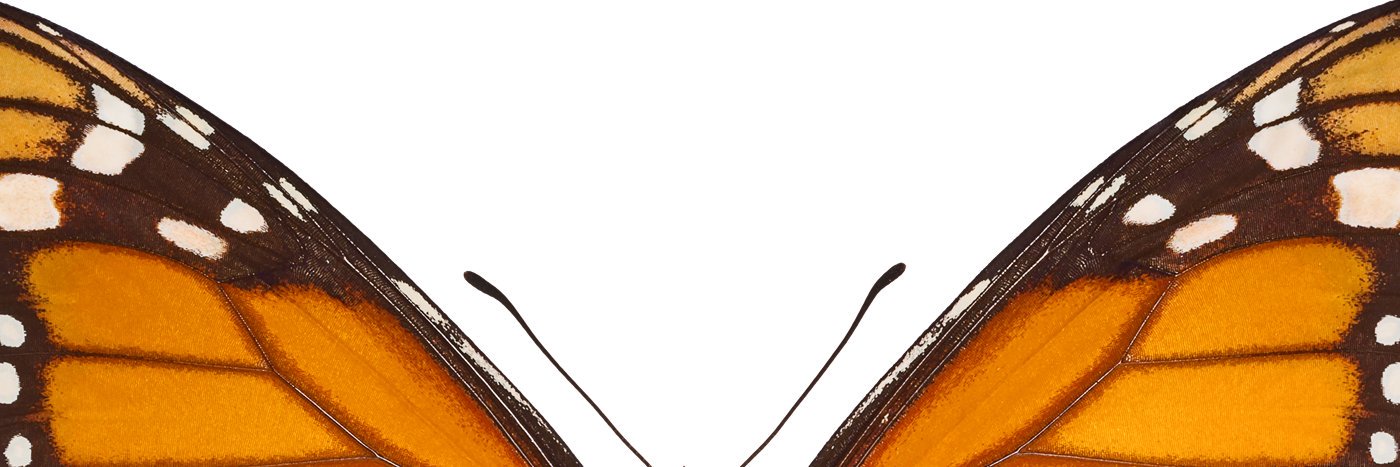 designdiverso's profile banner image