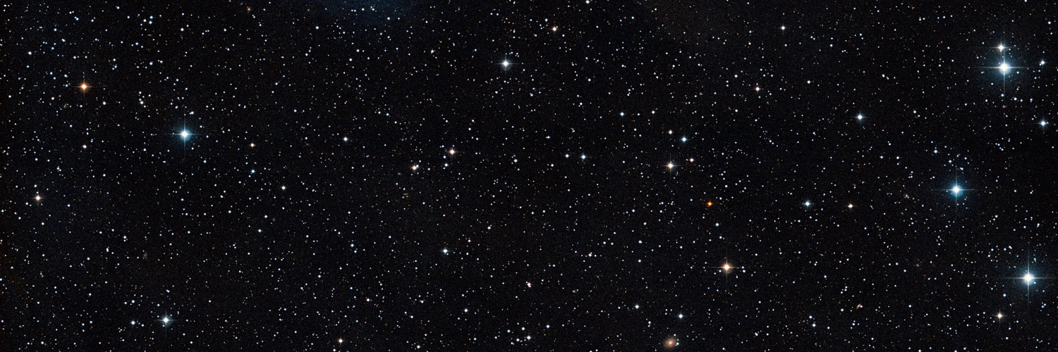 Steven Dawson banner