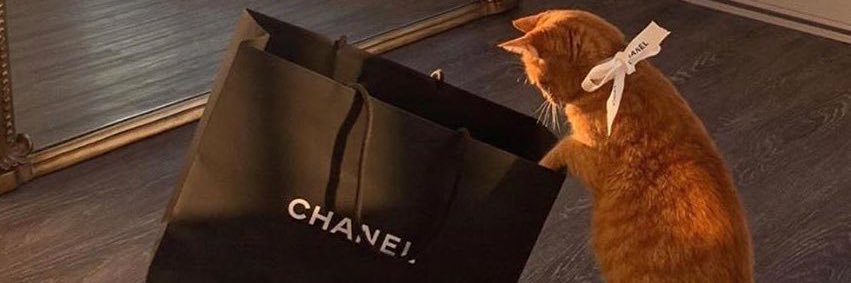 karma_shadow_'s profile banner image