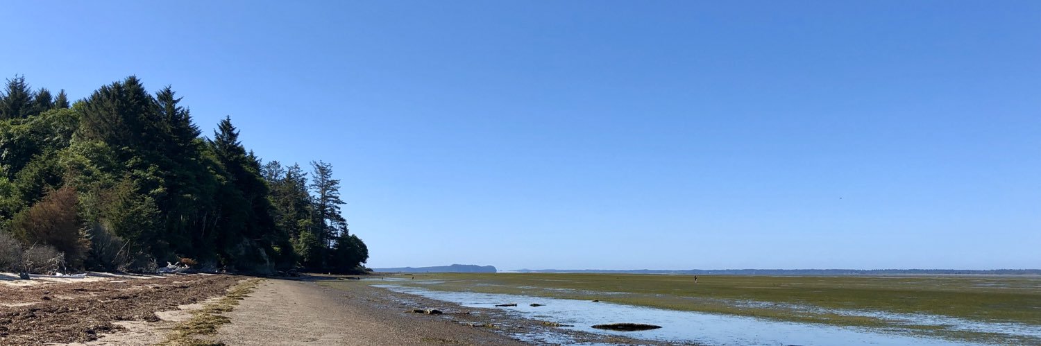 D'Alice Marsh (she/her) banner