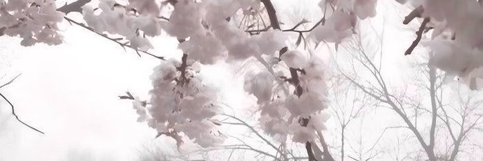 llhl034's profile banner image