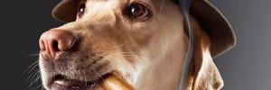 KAradiott's profile banner image