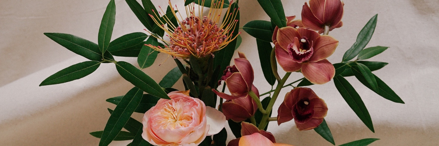 checkthevase's profile banner image
